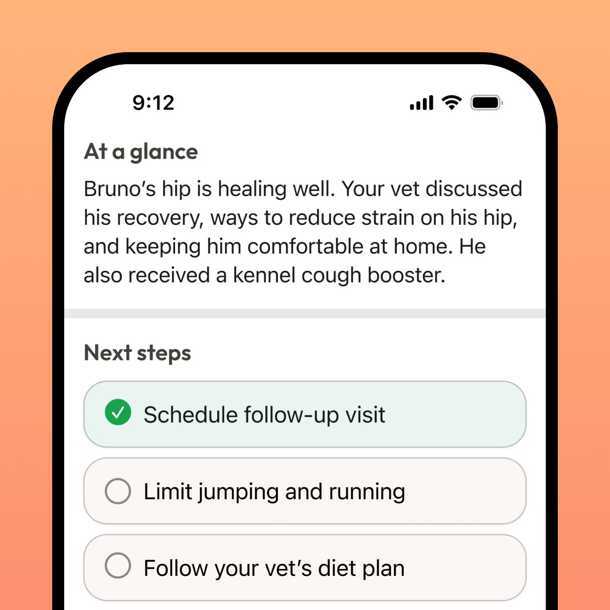 Kin summary screen with next steps after a pet's vet visit